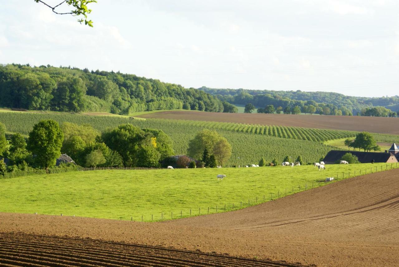 Domein Hellebeuk Met Uitzicht! Valkenburg/Klimmen Kültér fotó
